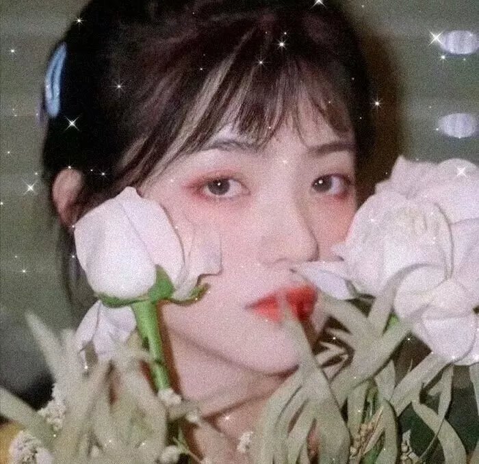 盲少爷的小女仆2023